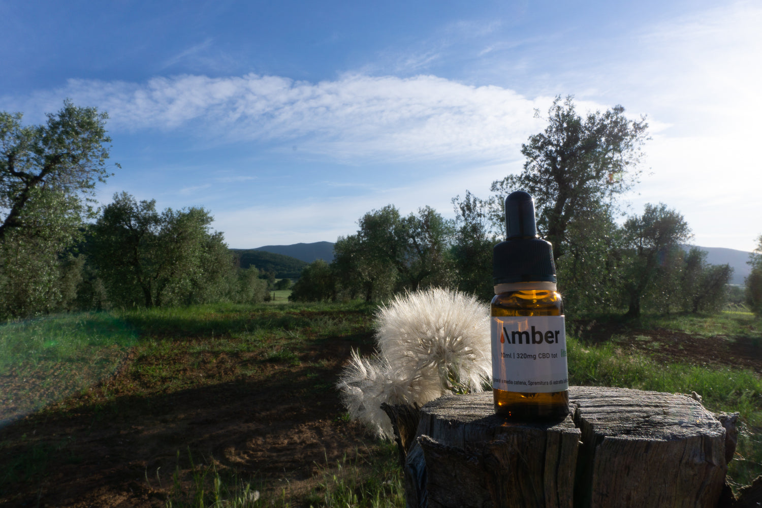 Ambra.Drops